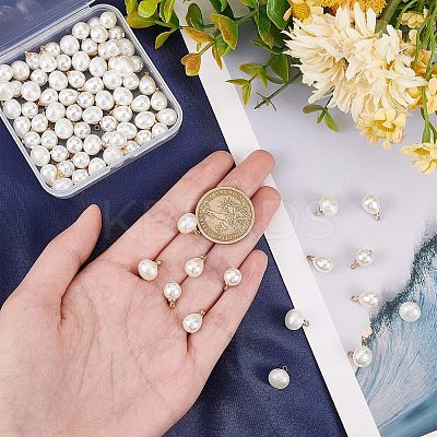 120Pcs 2 Style  Resin Imitation Pearl Charms FIND-FH0004-29-1