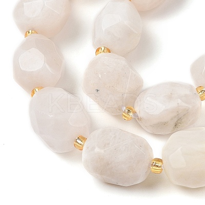 Natural Rainbow Moonstone Beads Strands G-P541-A01-01-1