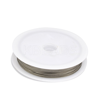Tarnish Resistant DIY Jewelry Thread Findings Colored Tiger Tail Wire TWIR-O001-0.38mm-03-1