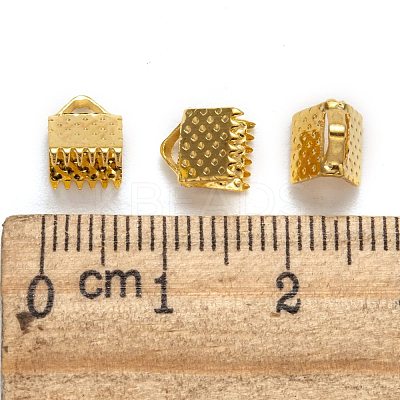 Iron Ribbon Crimp Ends IFIN-ZX025-G-1