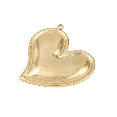 304 Stainless Steel Pendants STAS-Z180-02G-1