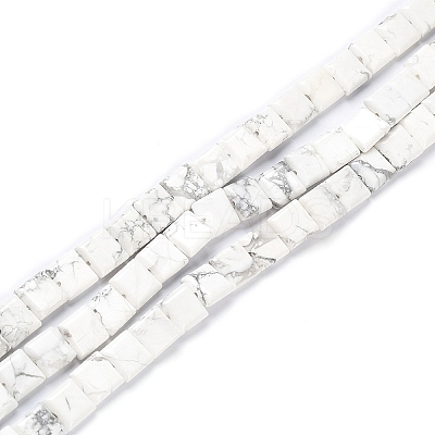 Natural Howlite Beads Strands G-K337-05-1