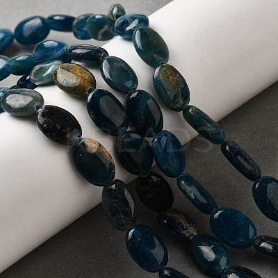 Natural Apatite Beads Strands G-Q026-A01-01-1