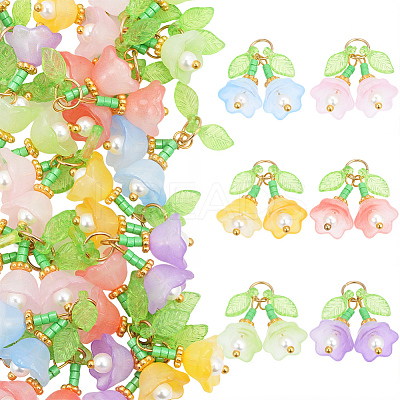 30Pcs 6 Colors Transparent Glass Pendants FIND-SC0019-73-1
