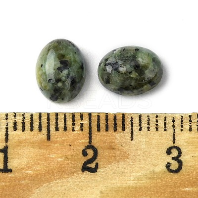 Natural African Turquoise(Jasper) Cabochons G-A094-01B-03-1