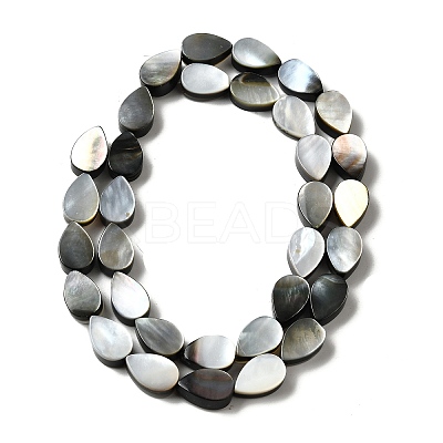Natural Black Lip Shell Beads Strands BSHE-D300-04A-1