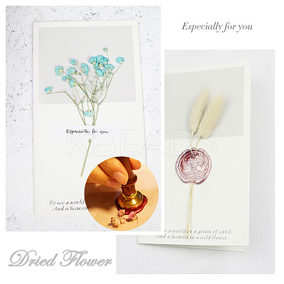 DIY Scrapbook AJEW-WH0096-90D-1