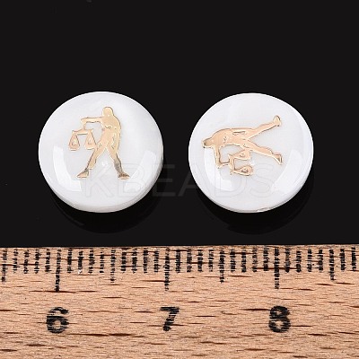 Natural Freshwater Shell Beads SHEL-N037-02D-G-1