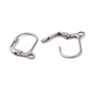 Tarnish Resistant 304 Stainless Steel Leverback Earring Findings STAS-E007-6-01-1