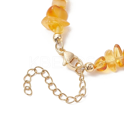 Natural Pearl Rice and Natural Amber Chip Beaded Necklaces NJEW-JN05883-1