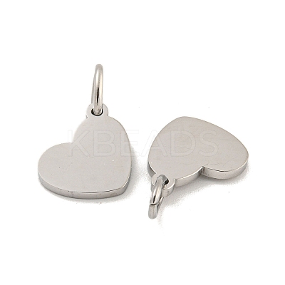 Non-Tarnish 304 Stainless Steel Stamping Blank Tag Mirror Polished Finish Charms STAS-P356-14P-1