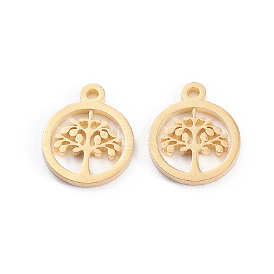 304 Stainless Steel Charms STAS-I151-46G-1