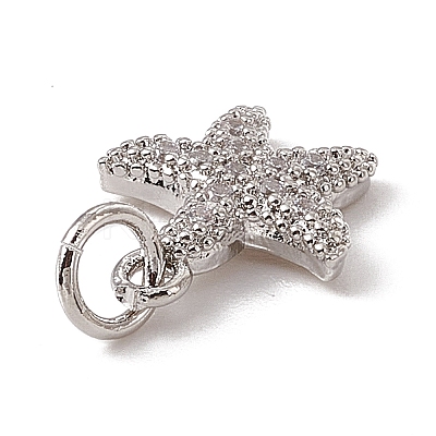 Brass Micro Pave Cubic Zirconia Charms ZIRC-F132-13P-1