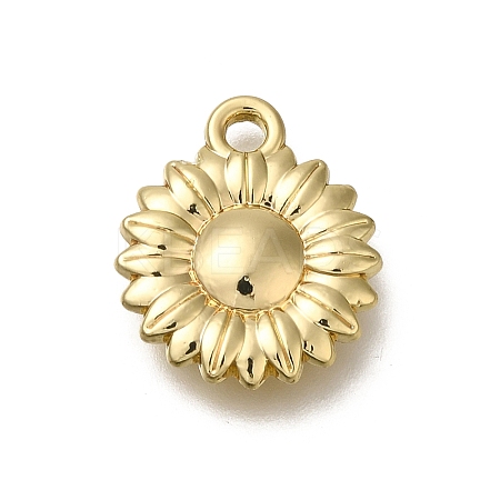 Alloy Pendants FIND-U023-01G-05-1