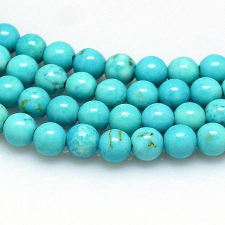 Natural Magnesite Beads Strands TURQ-P027-69-4mm-1