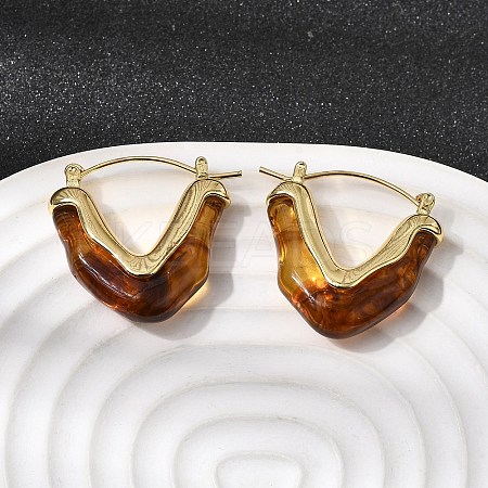 Brass Resin Hoop Earrings EJEW-P333-11A-G02-1