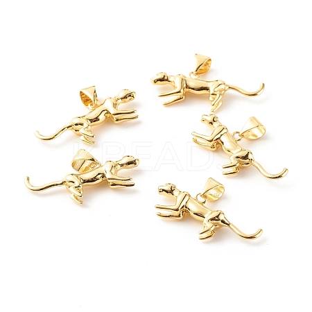 Brass Pendants KK-P208-13G-RS-1
