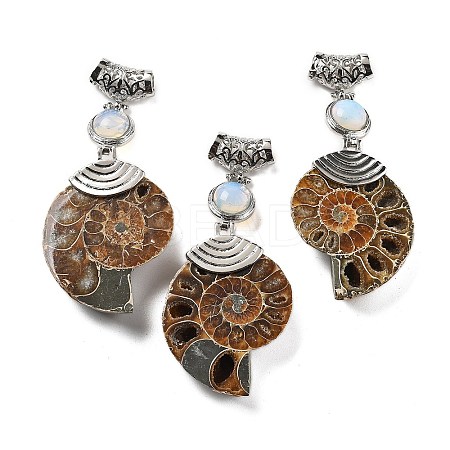 Synthetic Opalite Fossil Snail Pendants G-F062-07-1