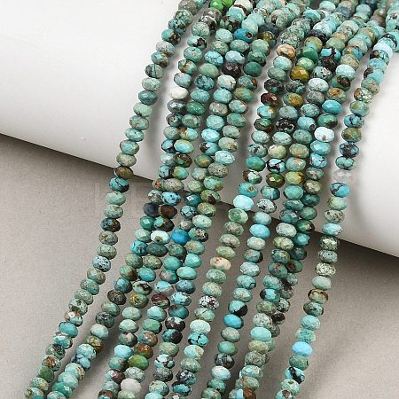 Natural HuBei Turquoise Beads Strands G-B175-A14-2x4mm-1