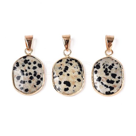 Natural Dalmatian Jasper Pendants G-N349-04F-G-1