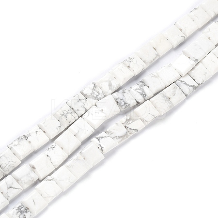 Natural Howlite Beads Strands G-K337-05-1