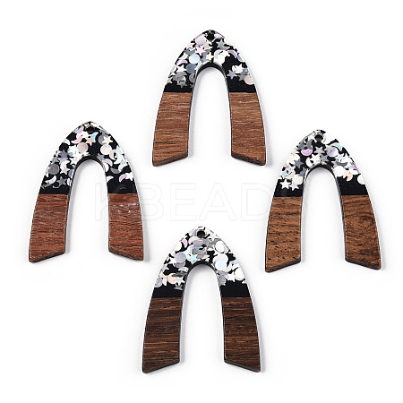 Opaque Resin & Walnut Wood Pendants RESI-N039-66C-1