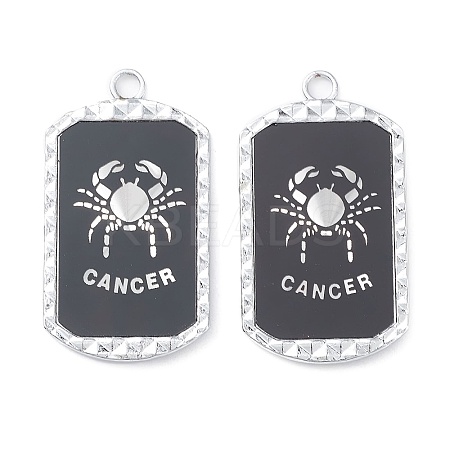 Alloy Twelve Constellations Series Big Pendants PALLOY-O107-01P-01-1
