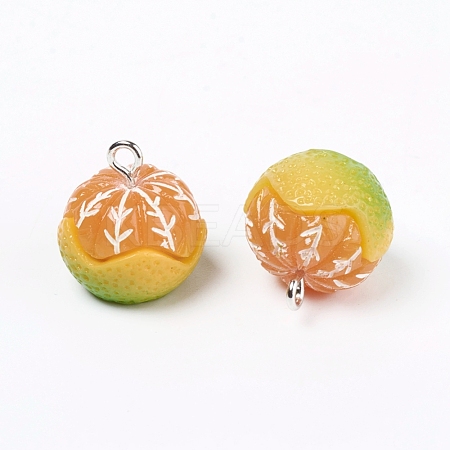 Resin Pendants RESI-TAC0002-23-1