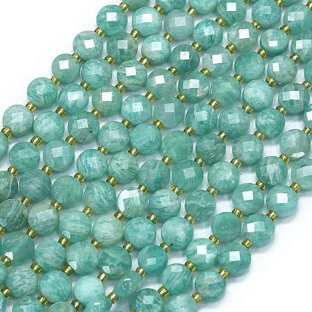 Natural Amazonite Beads Strands G-K389-B42-01-1