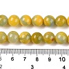 Dyed Natural White Jade Beads Strands G-T138-10mm-210-26-5