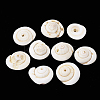 Natural Shiva Eye Shell Beads SSHEL-Q302-01-1