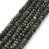 Natural Seraphinite Beads Strands G-K376-E06-4x6mm-2