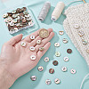 100Pcs Natural Paua Shell Buttons BUTT-GA0001-33-3
