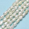 Natural Cultured Freshwater Pearl Beads Strands LS-PEAR-A005-16-2