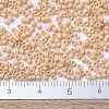 MIYUKI Delica Beads Small SEED-X0054-DBS0389-4