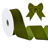 Velvet Spandex Ribbon OCOR-WH0082-467I-1