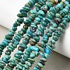 Natural HuBei Turquoise Bead Strands G-H345-A01-03-1