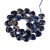 Natural Sodalite Beads Strands G-P592-B08-01-3