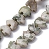 Natural Peace Jade Beads Strands G-F783-G08-01-1