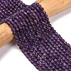 Natural Lepidolite/Purple Mica Stone Beads Strands G-A260-A04-01-1