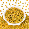 Picasso Glass Seed Beads SEED-N010-01B-2