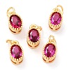 Real 18K Gold Plated Brass Inlaid Cubic Zirconia Charms ZIRC-L100-079G-03-1