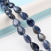 Natural Sodalite Beads Strands G-K357-A01-01-2