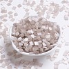 MIYUKI TILA Beads SEED-JP0008-TL2553-4