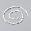 Natural Howlite Beads Strands G-I270-09-2