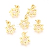 Alloy Charms PALLOY-B024-17G-1
