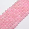 Natural Rose Quartz Bead Strands G-G664-01-1