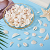 DIY Natural Shell Jewelry Making Finding Kits DIY-BT0001-37-7