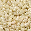 Glass Seed Beads SEED-K009-02B-08-3