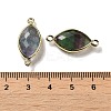 Natural Fluorite Faceted Connector Charms G-K347-03G-15-3